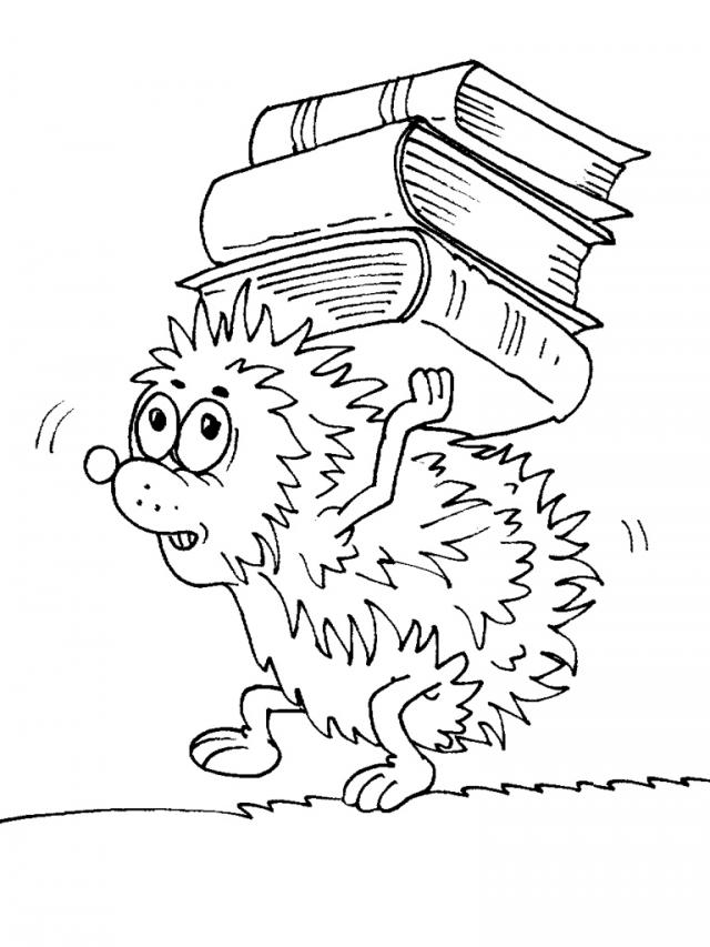 Jeż Kolorowanka do druku - Kreatywna zabawa dla dzieci kolorowanka do druku